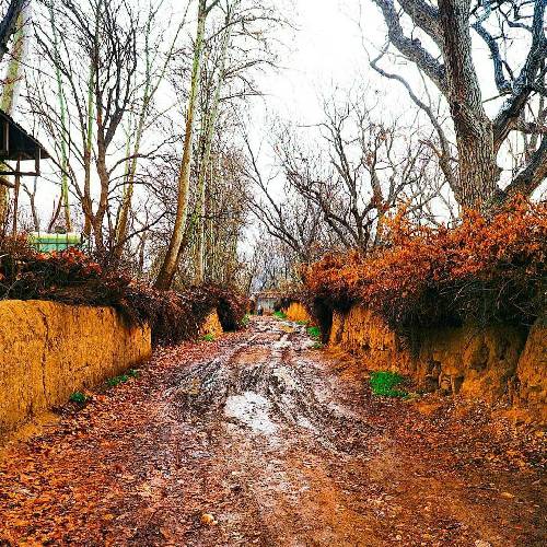 اوضاع بگی نگی بد نی نه خیره ترینی که تا یجوری پا میگیری